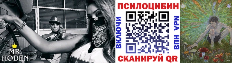Псилоцибиновые грибы прущие грибы  Саратов 